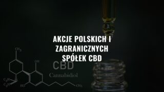 Inwestowanie w konopie. Akcje polskich i zagranicznych spółek CBD