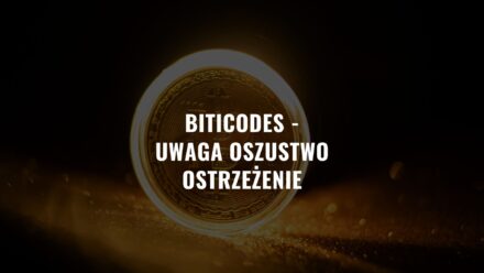 Biticodes – Czy realnie można zarobić? Jak to zrobić?