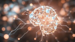 Jakie źródła są najcześciej cytowane w narzędziach AI?